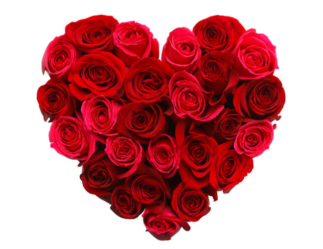 Ideas de regalos para 14 de febrero ¡ Ideas de regalos para 14 de febrero
